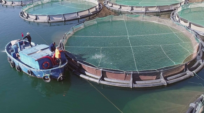 Muğla'nın ihracatı yüzde 44,3 arttı