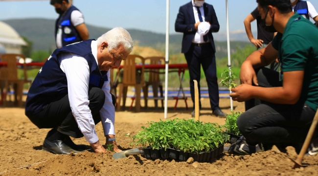 Ata tohumları toprakla buluştu