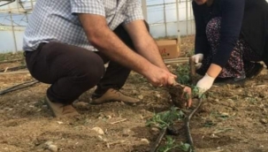 Başkan Tezcan Çiftçiler Günü mesajı