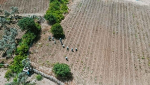 Bodrum’da 200 dönüm arazi tarıma kazandırıldı