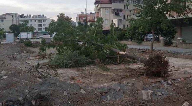 CHP Ortaca İlçe Başkanı Tezcan;