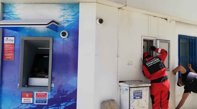 Duvar kaplamasına sıkışan yavru kediler için seferber oldular