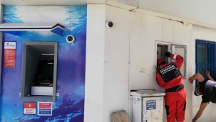 Duvar kaplamasına sıkışan yavru kediler için seferber oldular