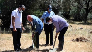 Fethiye’de 'Bizim Bahçe' projesi fidan dikimiyle sürüyor