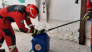 Fethiye'de itfaiyeden yılan yakalama operasyonu