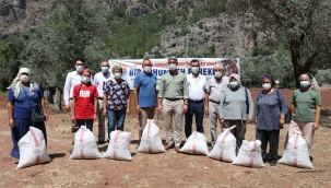 Marmaris Belediyesi'nden çiftçilere tohumluk fıstık