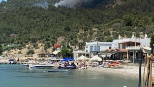 Milas Çökertme Koyunda yangın