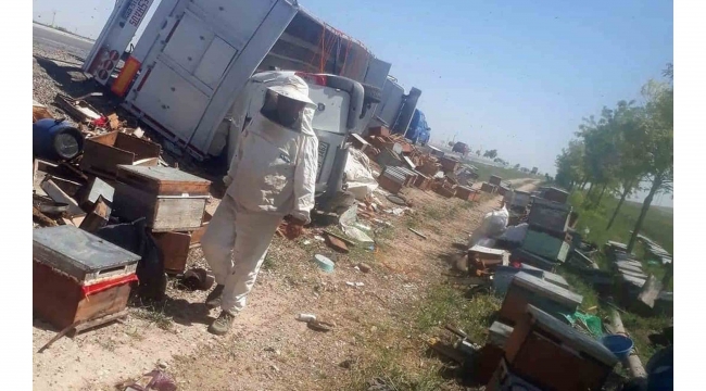 Muğlalı arıcılardan Erzurumlu arıcıya yardım eli