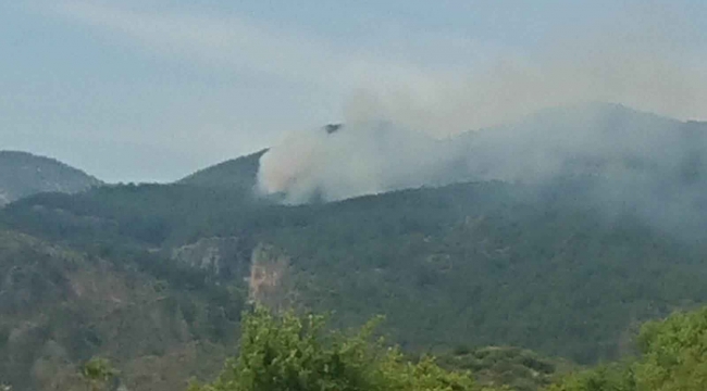 Ortaca ilçesi Gökbel Mahallesinde orman yangını başladı