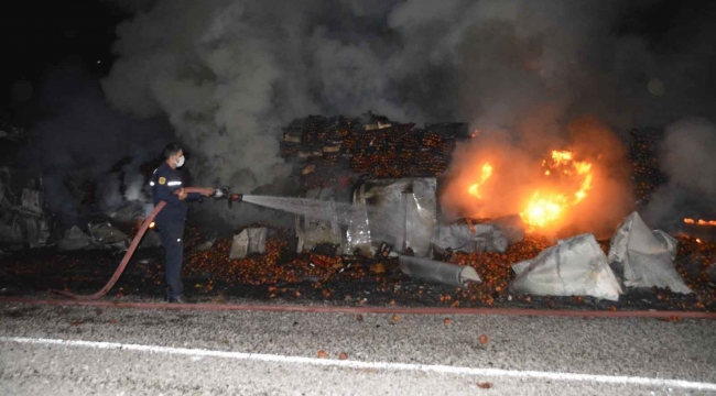 Seydikemer'de domates yüklü tır yandı
