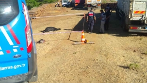 Seydikemer’de kamyonun çarptığı işçi öldü