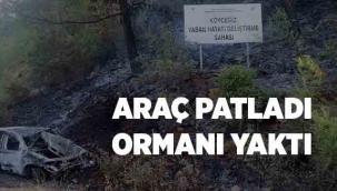 Takla atan Araç patladı, ormanı yaktı