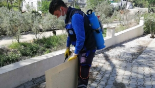 Vektör ile mücadele devam ediyor