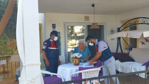 Bodrum'da dolandırıcılar Jandarmadan kaçamadı