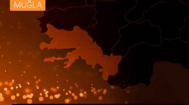 Kiraz ağacından düşen kişi hayatını kaybetti