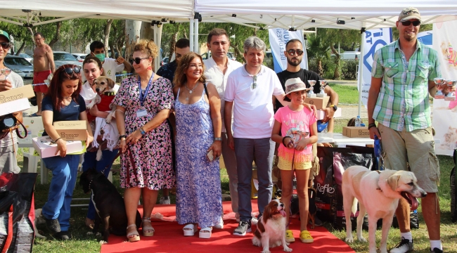 Köpekler hünerlerini sergiledi