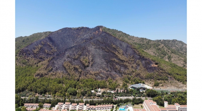 Marmaris'te yanan ormanlık alan havadan görüntülendi