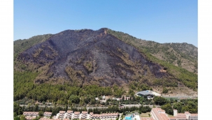 Marmaris'te yanan ormanlık alan havadan görüntülendi