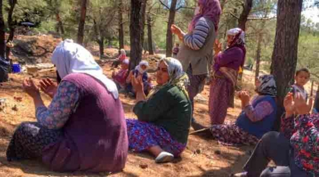 Menteşe'de köylüler yağmur duasına çıktı