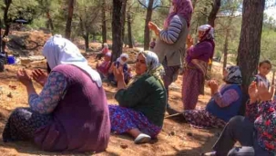 Menteşe'de köylüler yağmur duasına çıktı