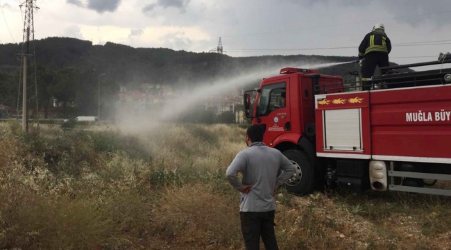 Menteşe’de yıldırım yangını