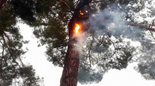 Muğla’da 12 günde 48 yıldırım yangını