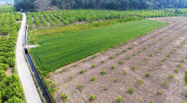 Muğla’da sulama sezonu başladı