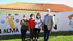 Pandemide can dostlara ilgi arttı