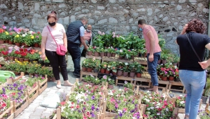 Pandemide fidan satışları tavan yaptı