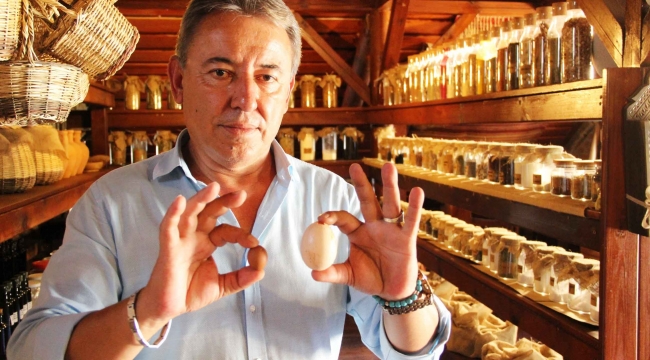Yumurtlayan horoz şaşkına çevirdi