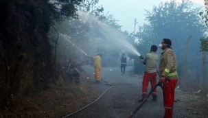 Adana, Kilis, Kütahya ve Köyceğiz'deki orman yangınları kontrol altına alındı