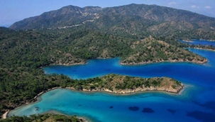 ALAVARA KOYU’ KARARI, ÇEVRECİLERİ SEVİNDİRDİ