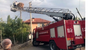 Ayağına ip dolanan leylek itfaiye tarafından kurtarıldı