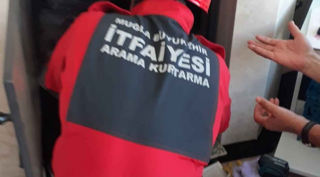 Baykuş için seferber oldular