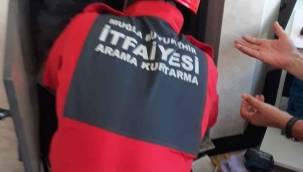 Baykuş için seferber oldular
