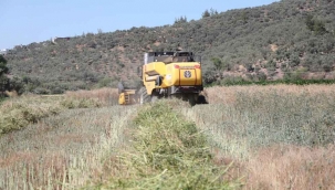 Bodrum Belediyesi, akaryakıtını kendi üretiyor