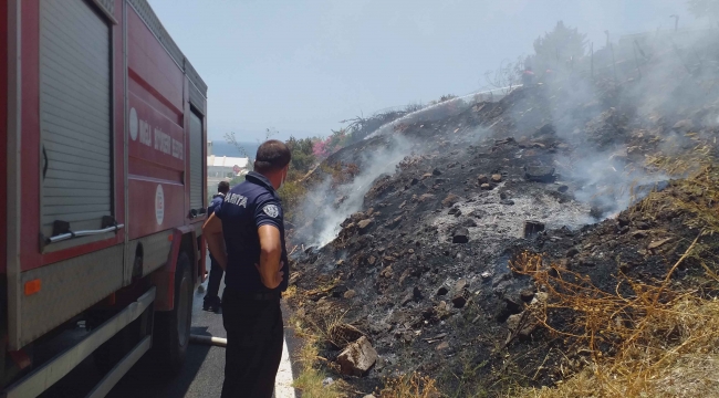 Bodrum’da otluk ve makilik alanda yangın çıktı