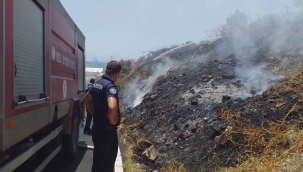 Bodrum’da otluk ve makilik alanda yangın çıktı