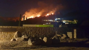 Bodrum’da otluk ve makilik alanda yangın