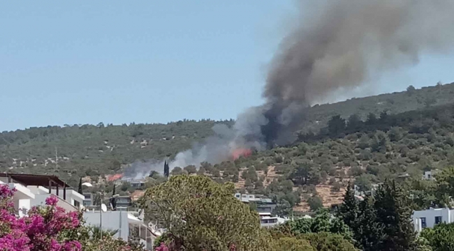 Bodrum’da yangın