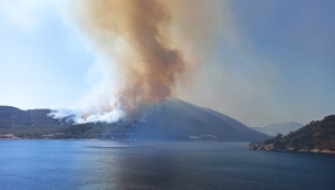 Bodrum'daki yangın otellere yaklaştı, müşteriler tahliye ediliyor