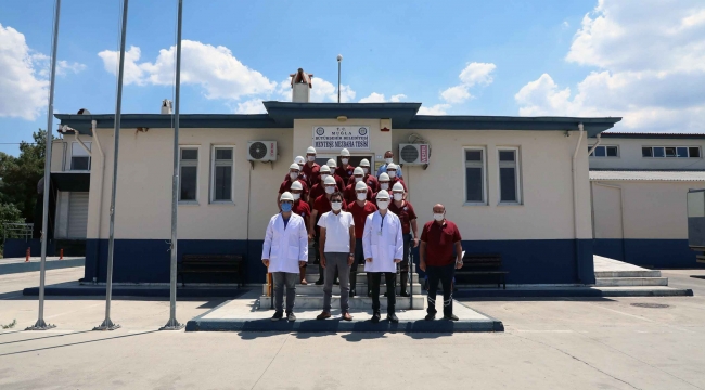 Büyükşehir Mezbahaları Kurban Bayramına hazır