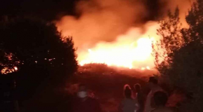 Datça’da otluk alandaki yangın söndürüldü