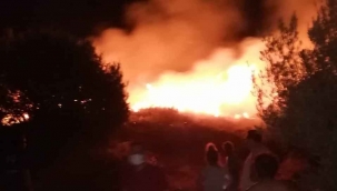Datça’da otluk alandaki yangın söndürüldü