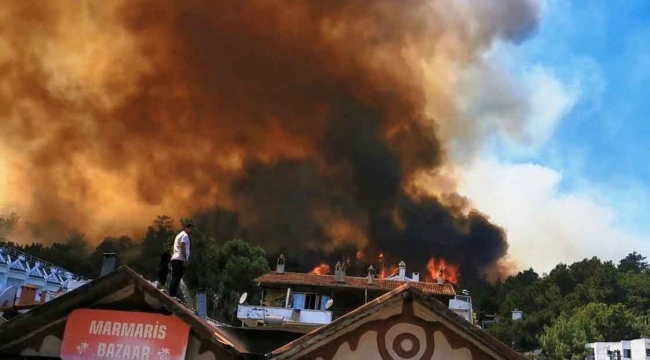 Didim'de makilik ve zeytinlik alanda yangın çıktı