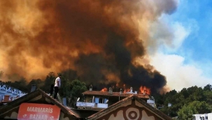 Didim'de makilik ve zeytinlik alanda yangın çıktı