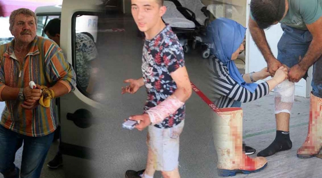 Fethiye'de acemi kasaplar yine kendilerini kesti!