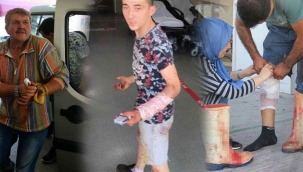 Fethiye'de acemi kasaplar yine kendilerini kesti!