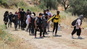Jandarma ormanda 74 kaçak göçmen yakaladı