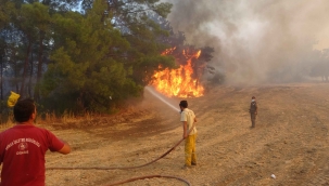 Manavgat’ta orman yangını devam ediyor, metrelerce yükselen alevler böyle görüntülendi
